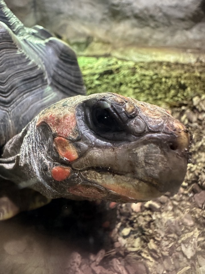 Exkurzia v Zoo Bojnice